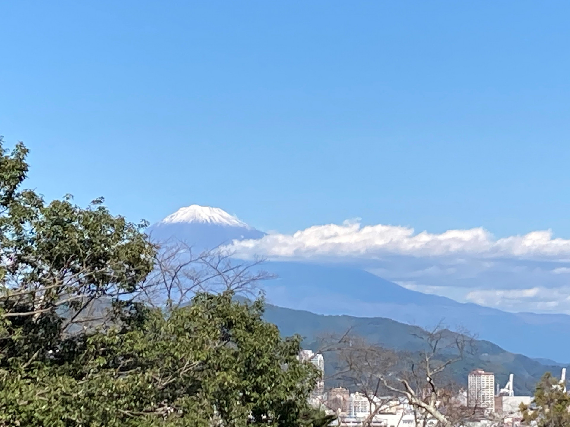 今年の富士山【どりょくかい不動産】
